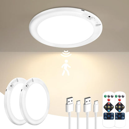 Wireless Rechargeable Ceiling Light