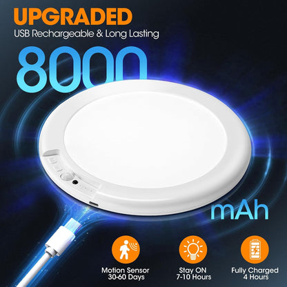Wireless Rechargeable Ceiling Light