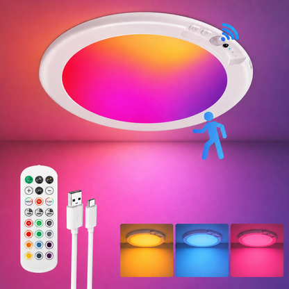 Wireless Rechargeable Ceiling Light
