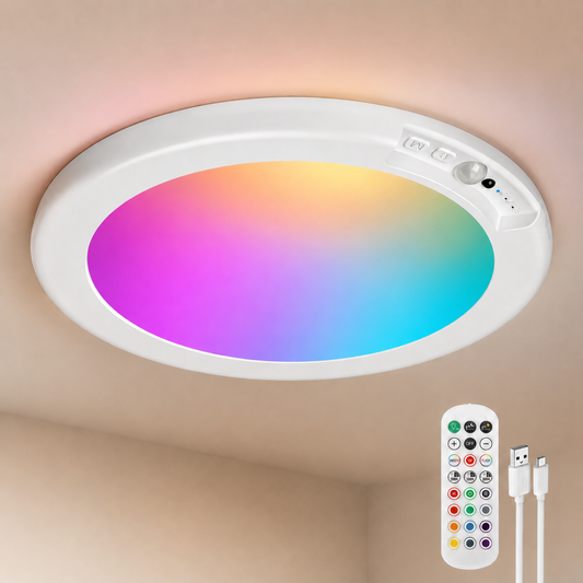 Rechargeable Motion Sensor Ceiling Light