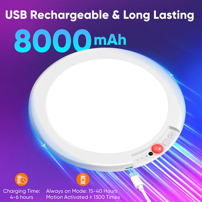 Rechargeable Motion Sensor Ceiling Light