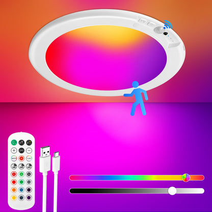 Rechargeable Motion Sensor Ceiling Light