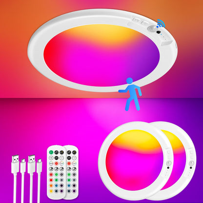 Wireless Rechargeable Ceiling Light