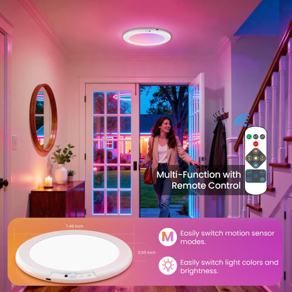 Rechargeable Motion Sensor Ceiling Light